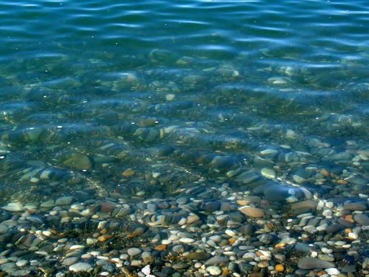 Чистота воды в море